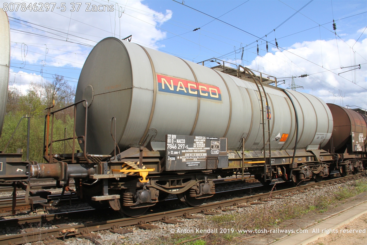 807846297-5_37 Zacns.JPG